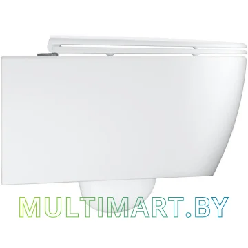 Унитаз Grohe Essence 3957100H картинка 5